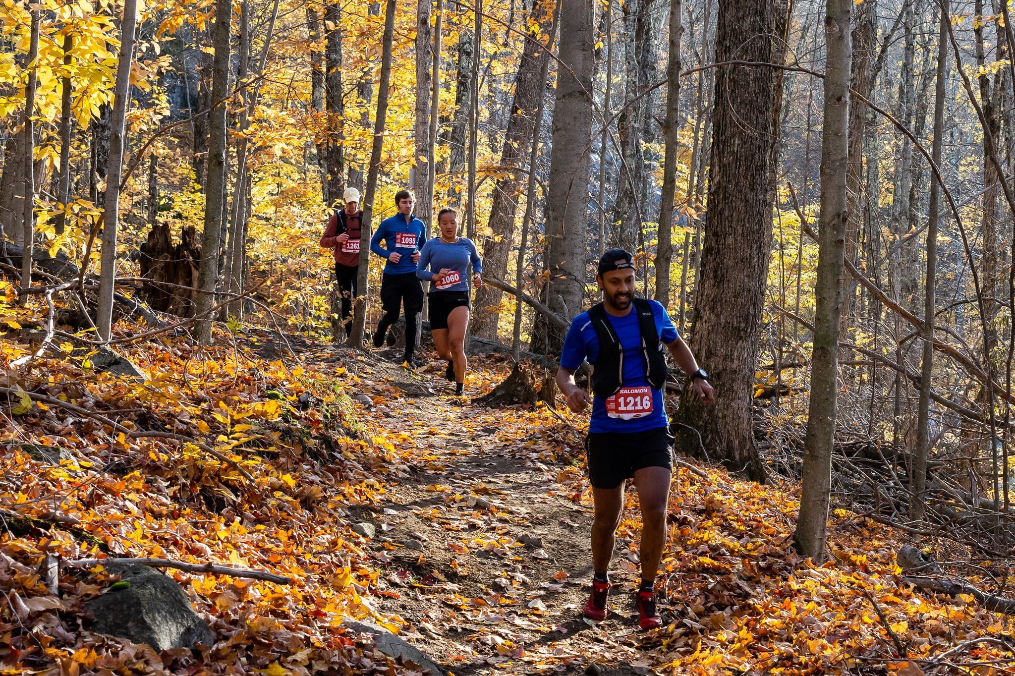 Salomon trail 2024 running events