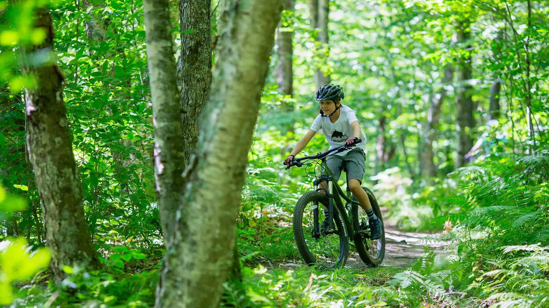 Person mountain biking through lush green Tremblant forest trail.