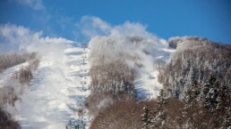 Pistes de ski enneigées entourées d'arbres en hiver; télésièges au premier plan.
