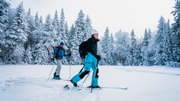 Alpine touring