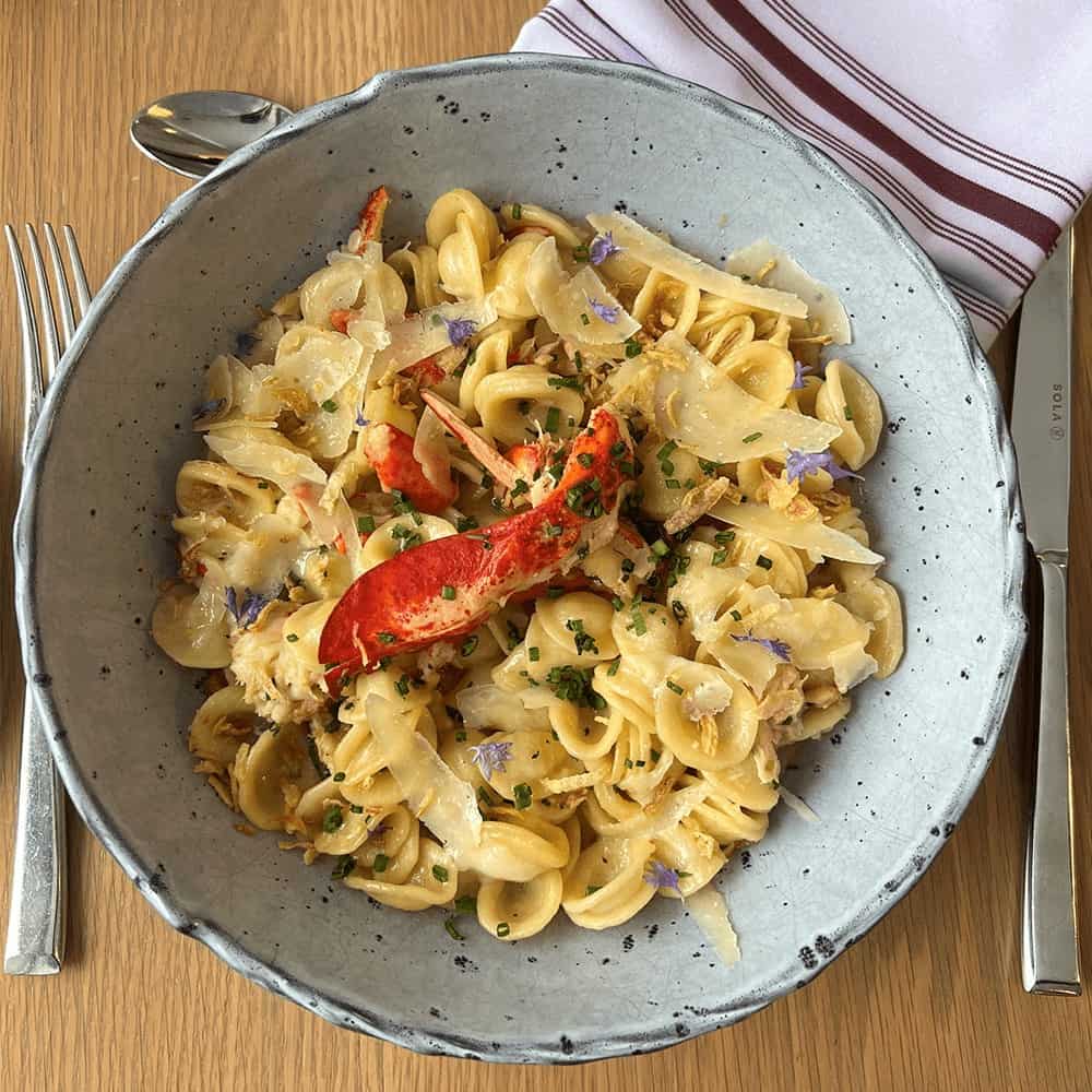 Delicious creamy pasta dish with lobster, vegetables, and herbs in a rustic bowl.