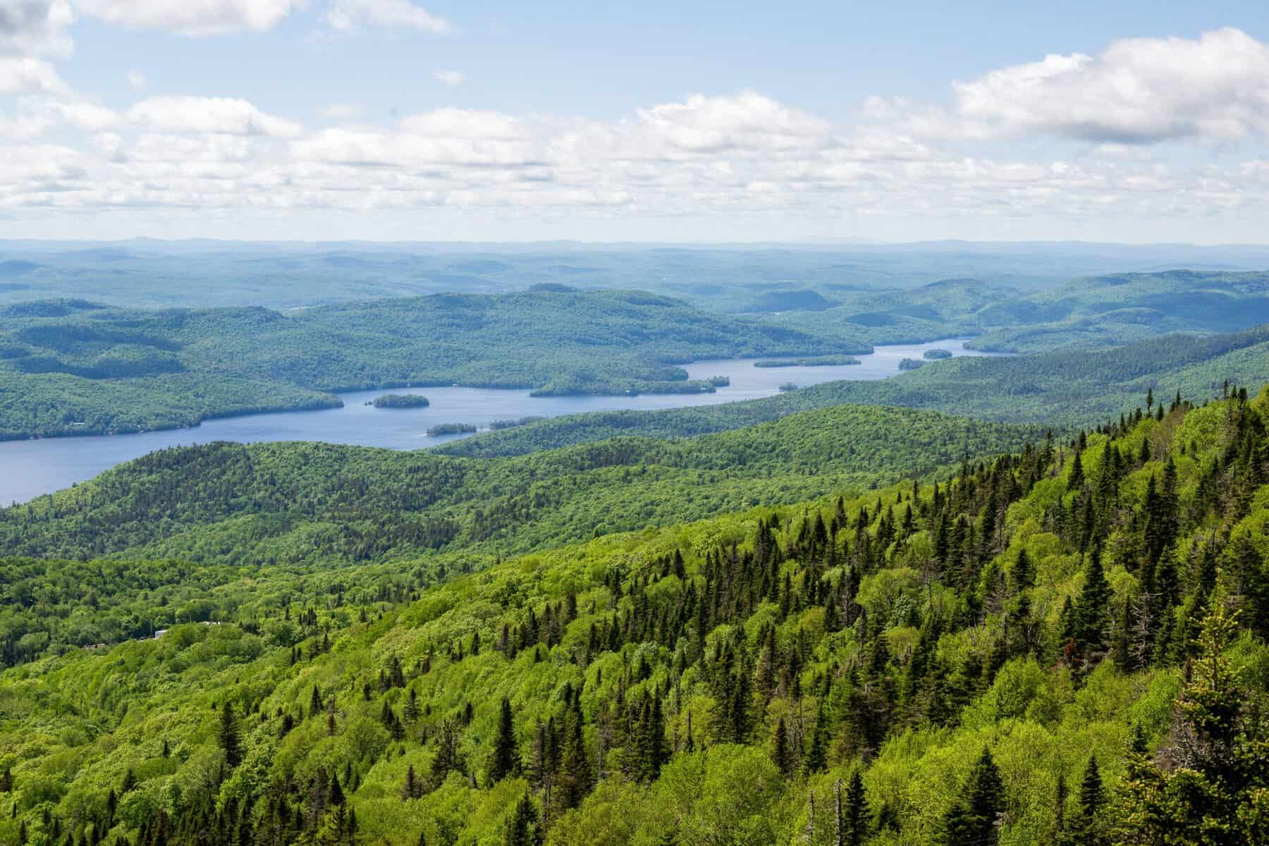 Aerial view of green forested hills with a winding lake under a blue sky.