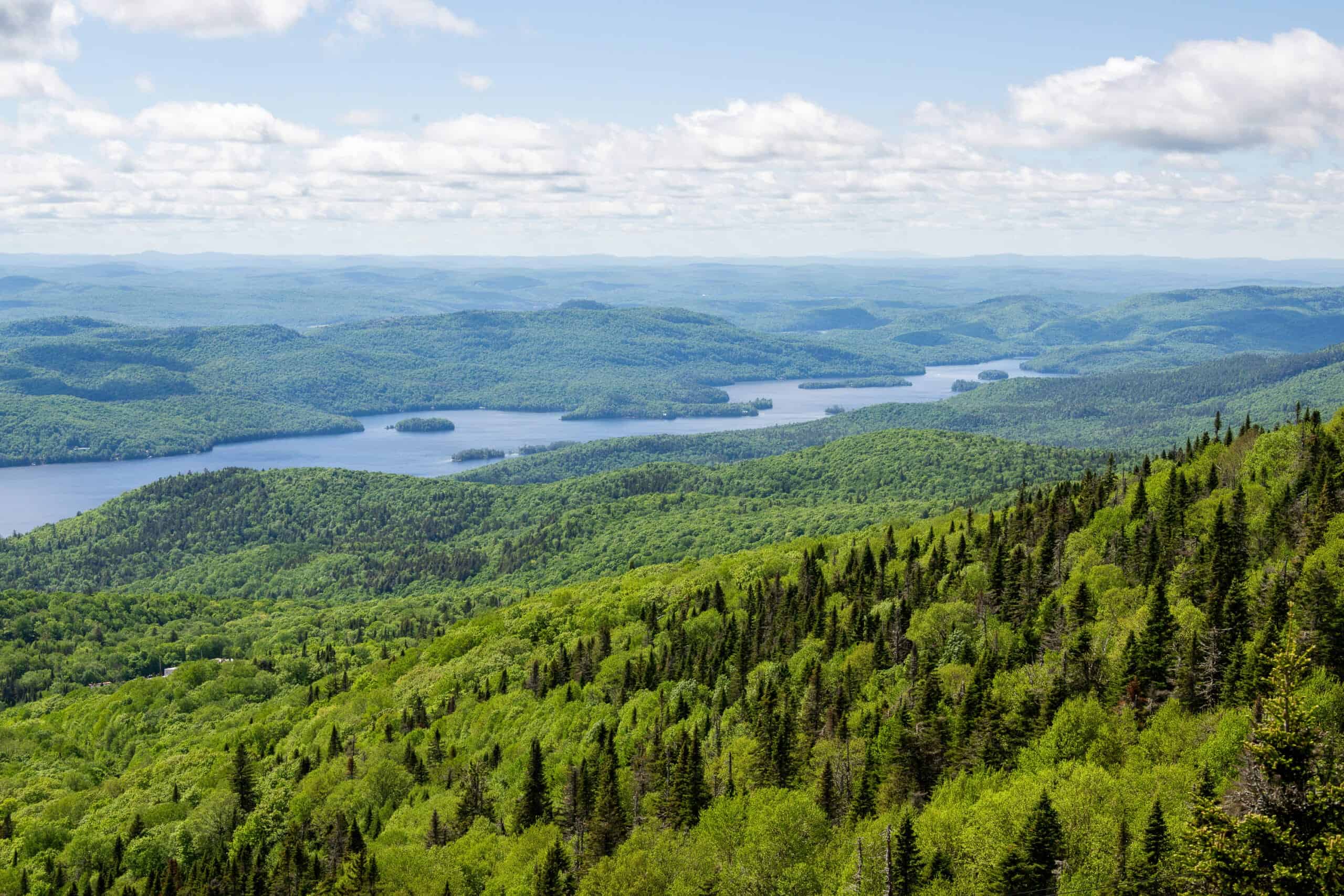 Vue panoramique de la forêt et des lacs en juin à Tremblant.