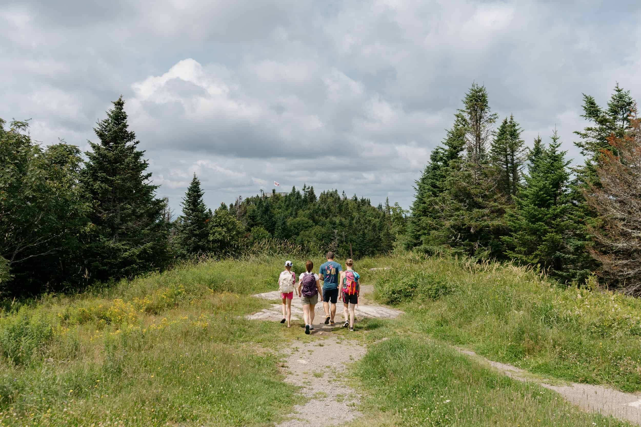 Groupe de randonneurs marchant sur un sentier en forêt dans les Laurentides.