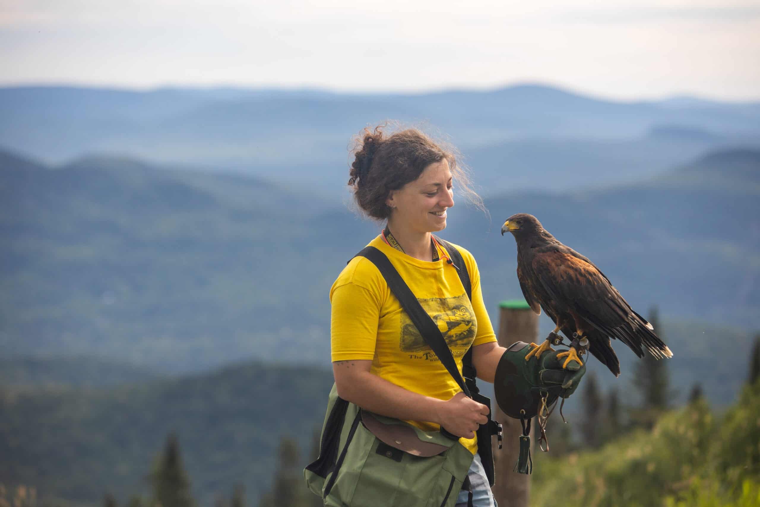 Femme avec un aigle royal en pleine nature à Tremblant.