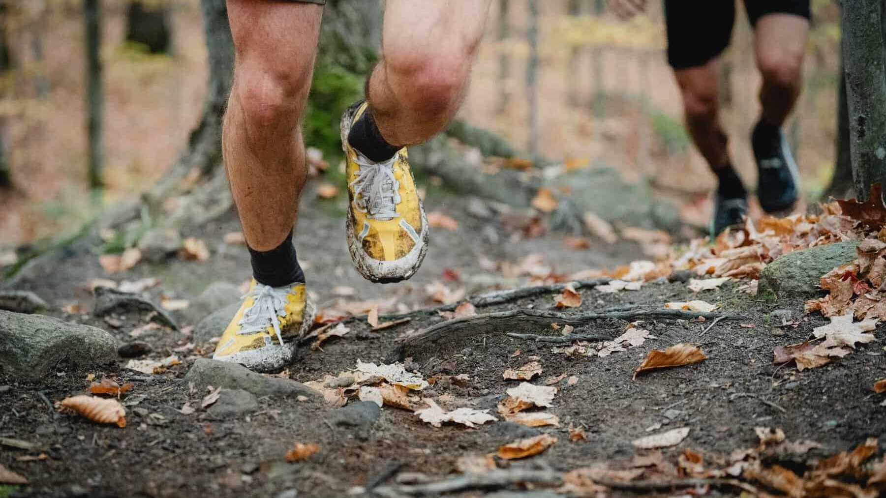 Trail runners' feet on a leaf-strewn forest path during a race.