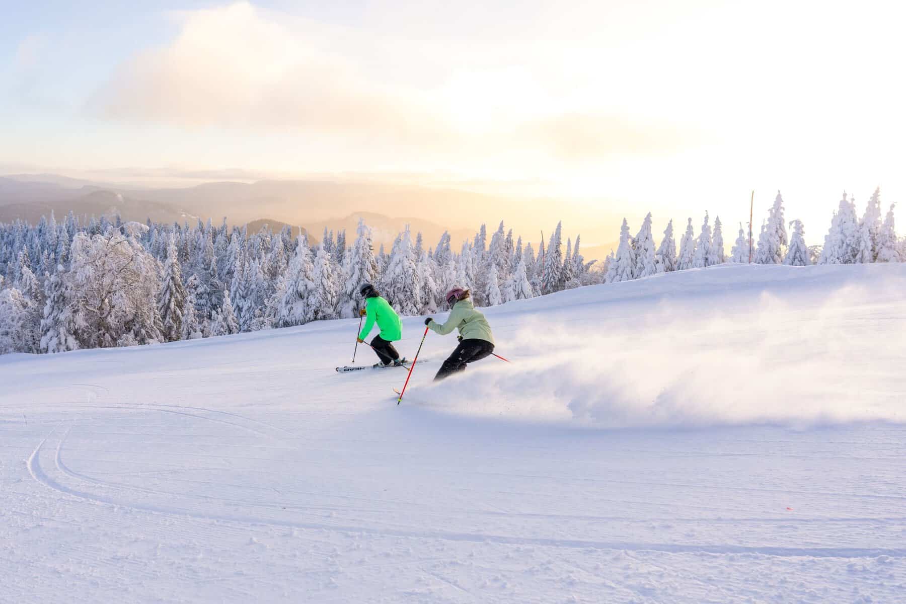 Two skiers carving through fresh powder on a sunlit snowy slope.
