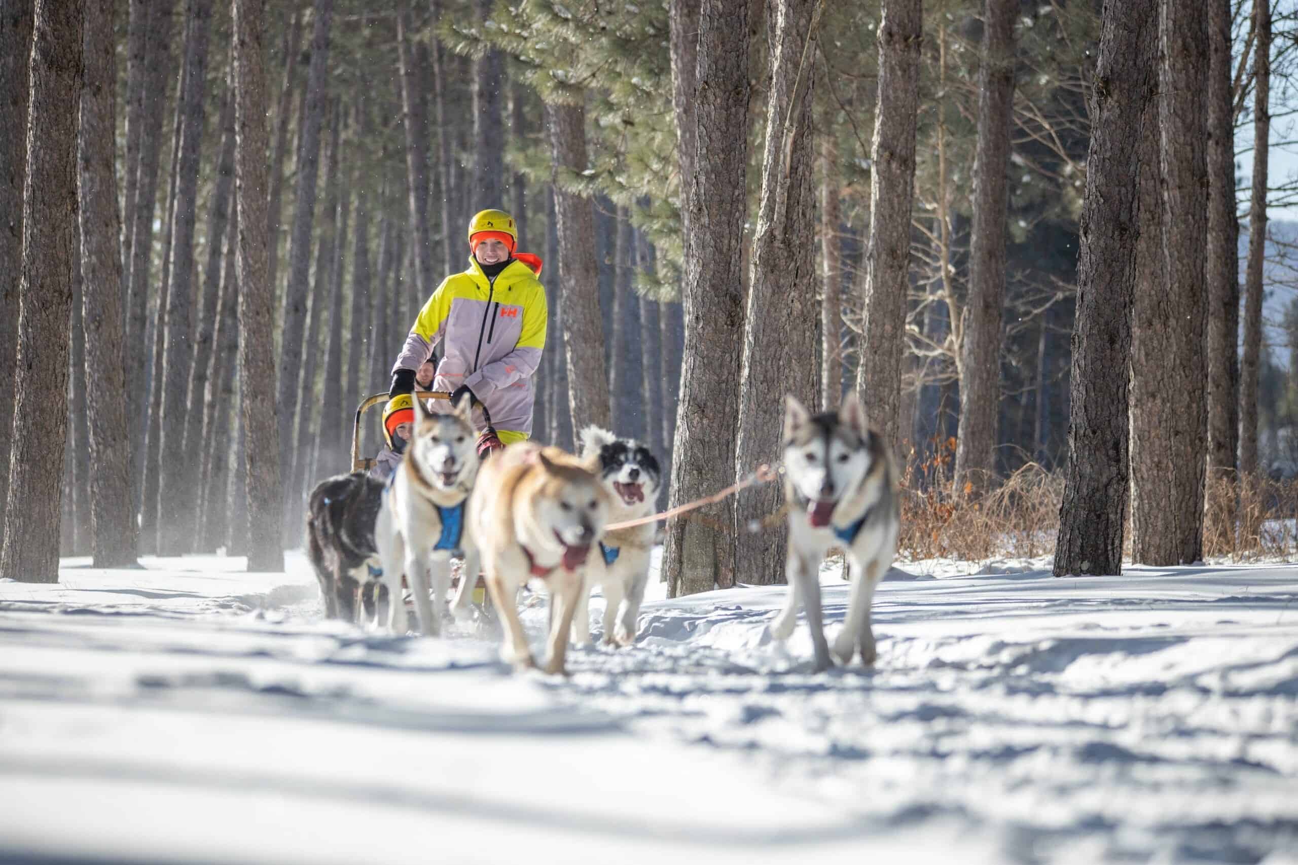 Aventuriers en traîneau à chiens dans la forêt enneigée de Tremblant.