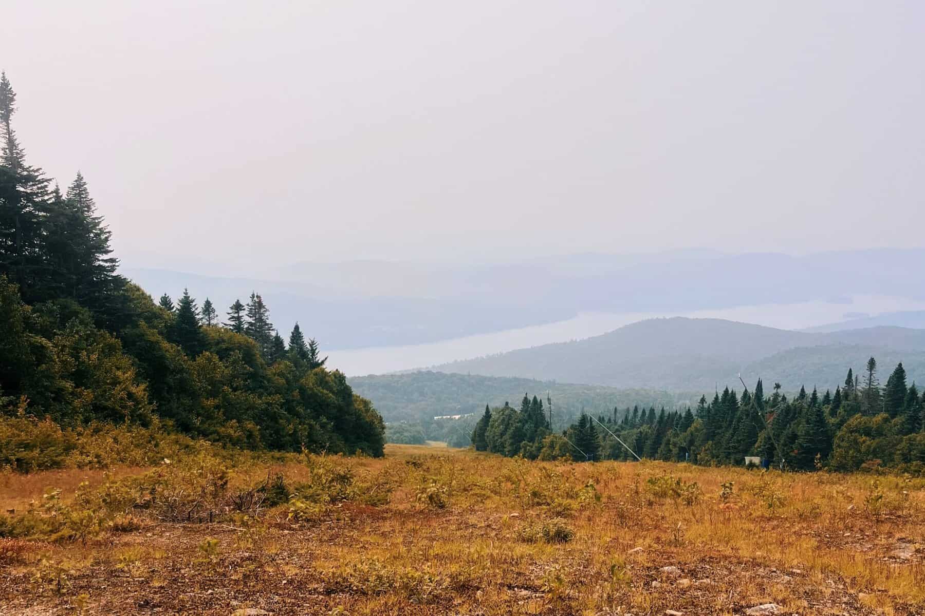 Scenic hillside overlook with pine trees and distant hills at Tremblant.