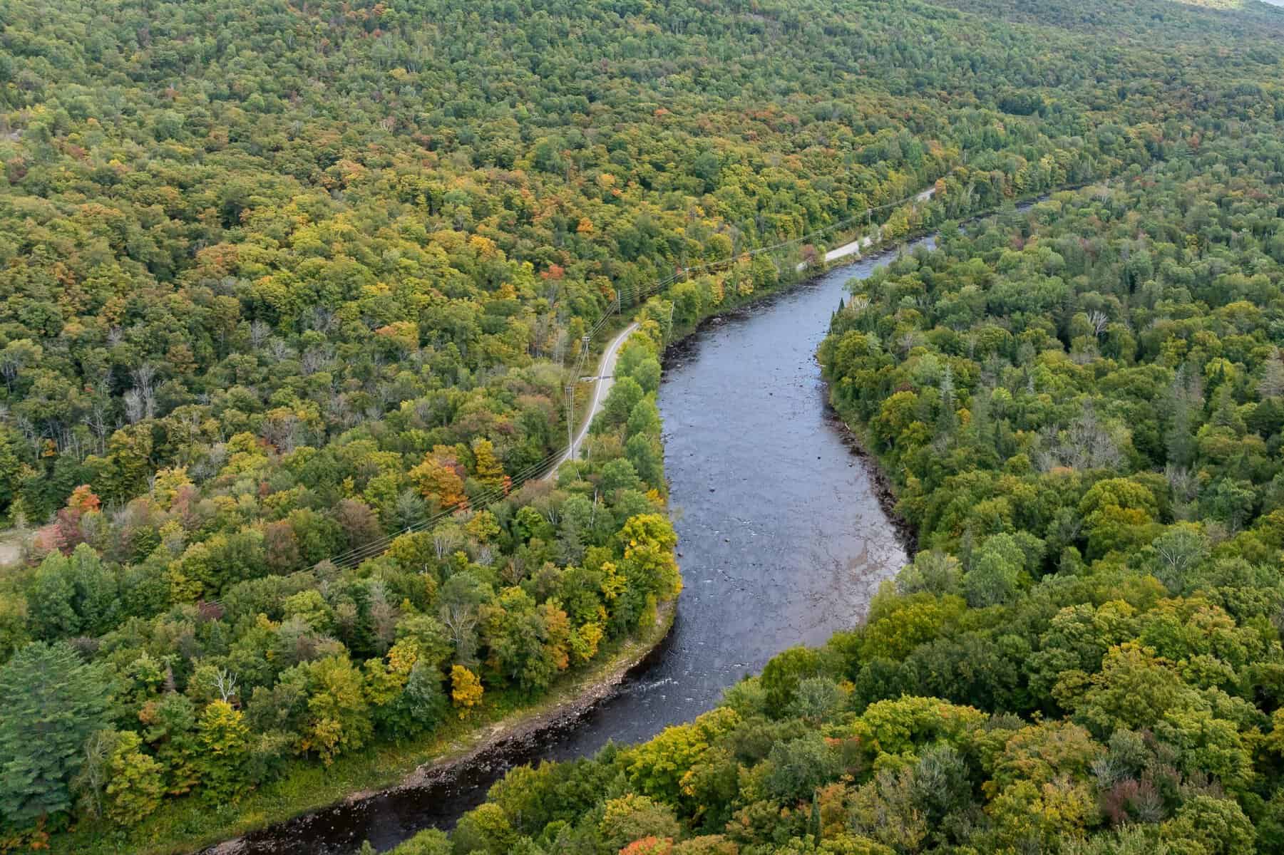 Vue aérienne d'une rivière serpentant au milieu d'une forêt dense automnale.
