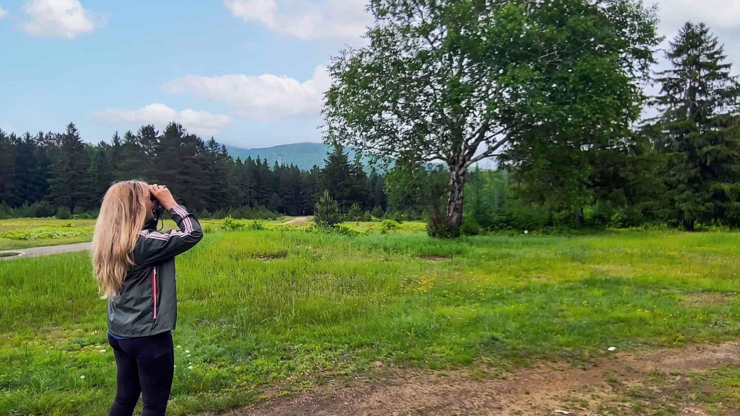 Woman birdwatching in a lush green Laurentians landscape.