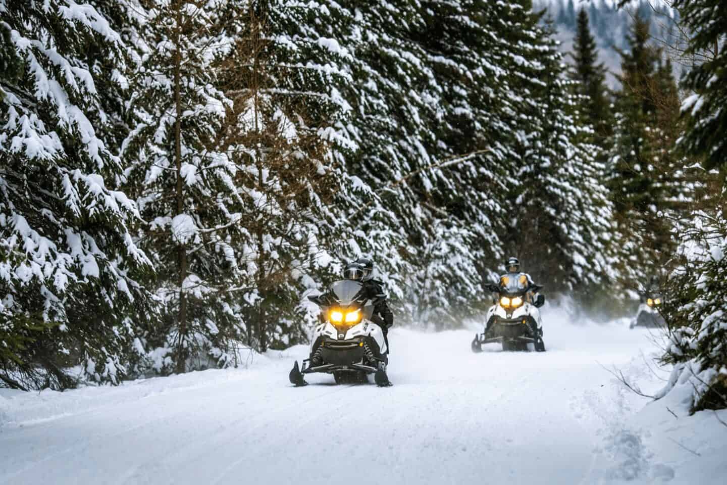 Motoneiges traversant une forêt enneigée à Tremblant, hiver.