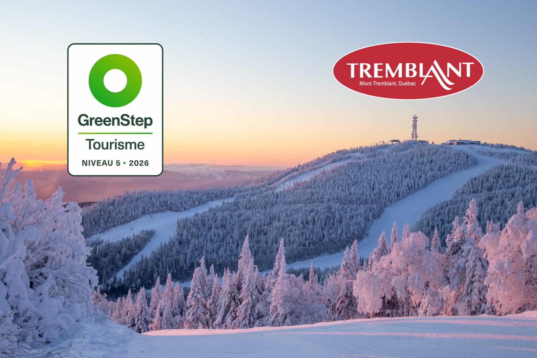 Snowy Tremblant landscape with pine trees and hilltop lines.