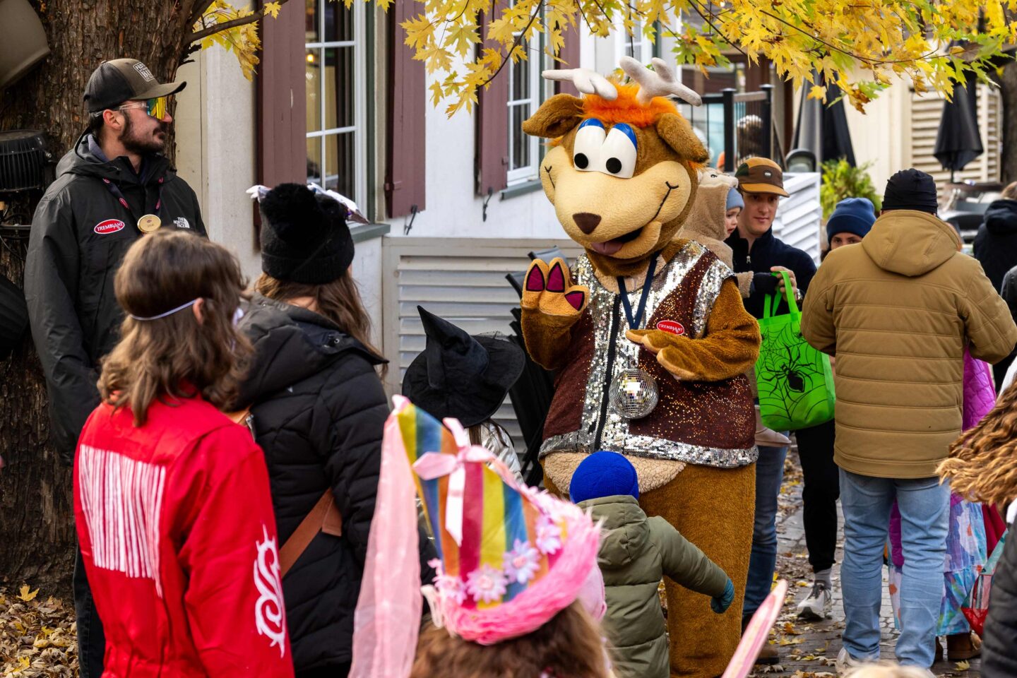 Toufou dressed for Halloween in Tremblant